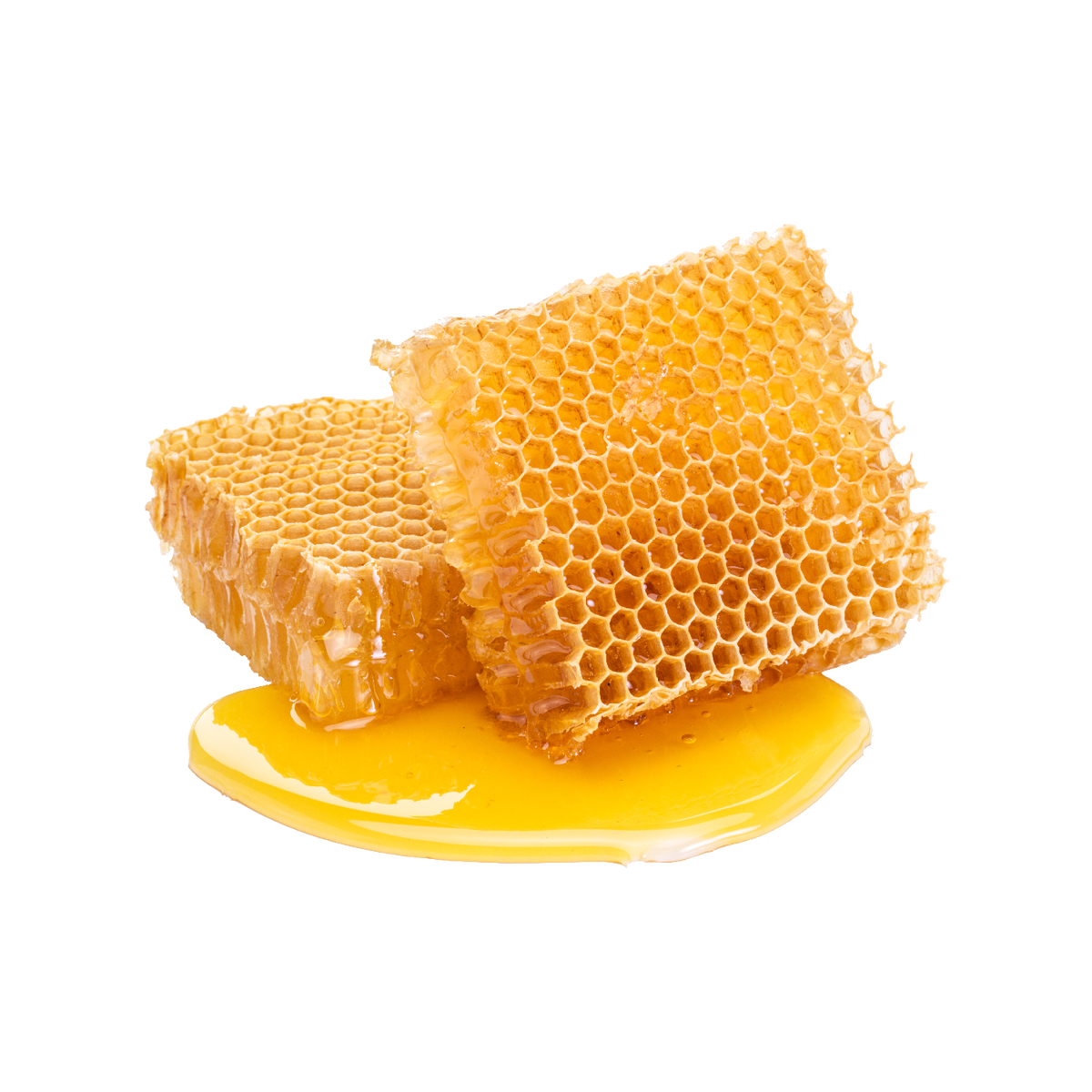 Hommel- en bijenvoeding